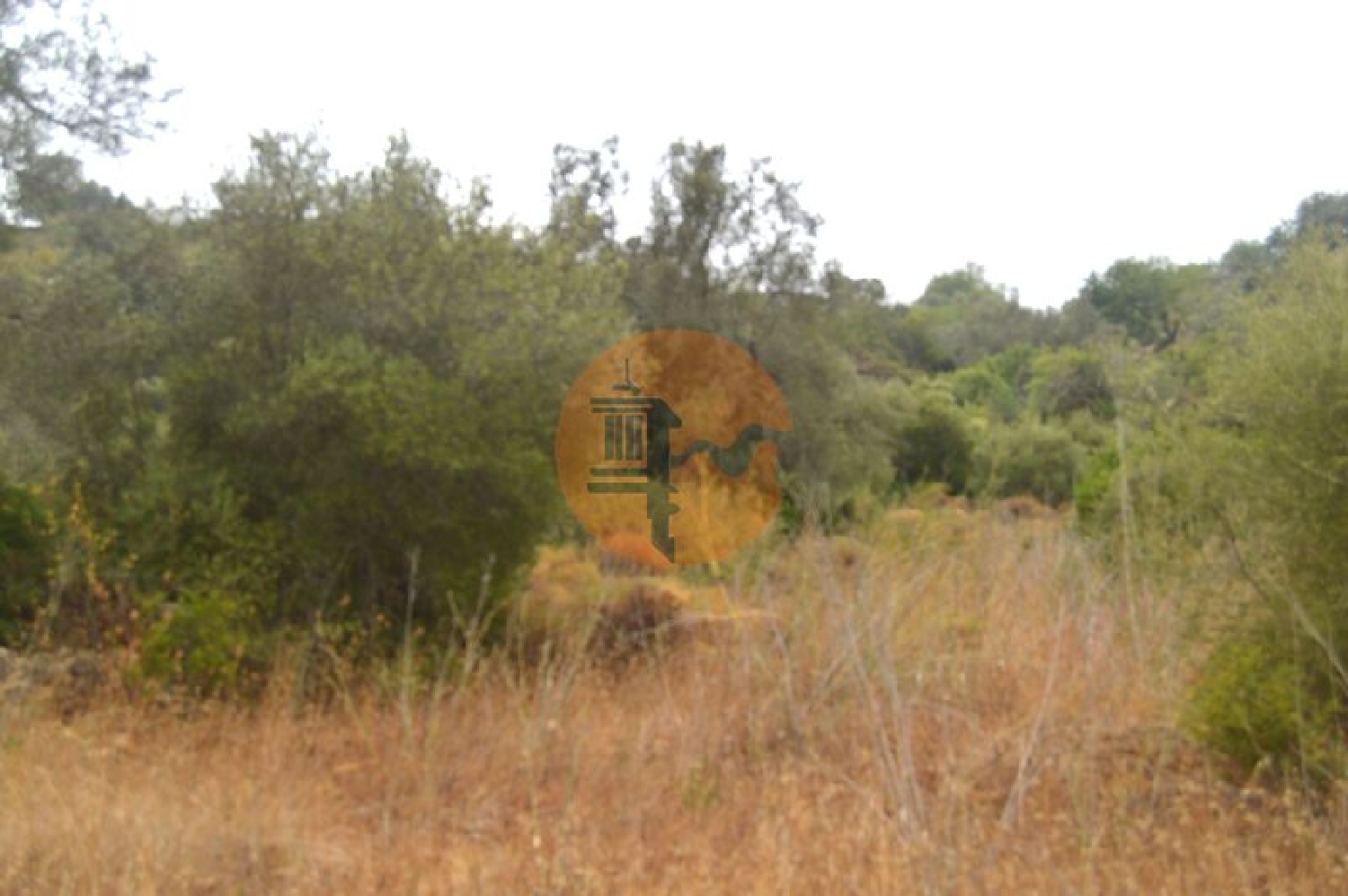  te koop terrein Fonte Albufeira 5