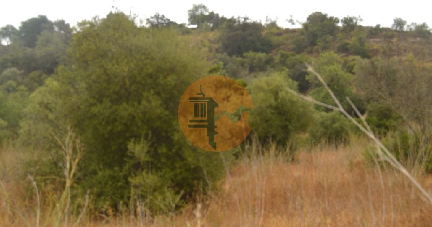  te koop terrein Fonte Albufeira 6