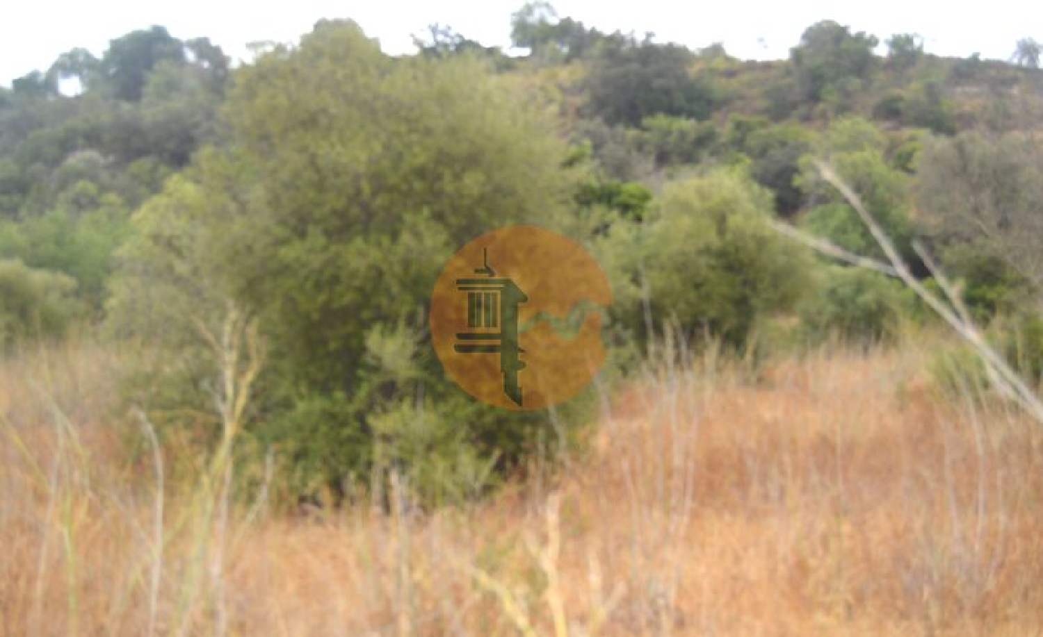  te koop terrein Fonte Albufeira 8