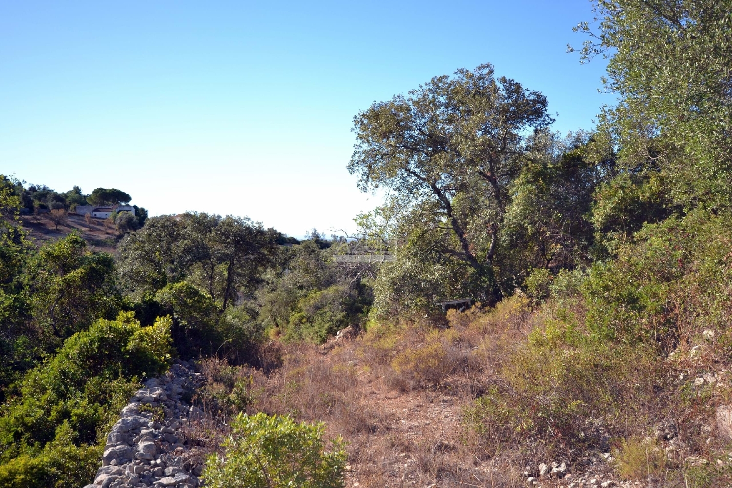 köpa tomt Loulé Loulé 8