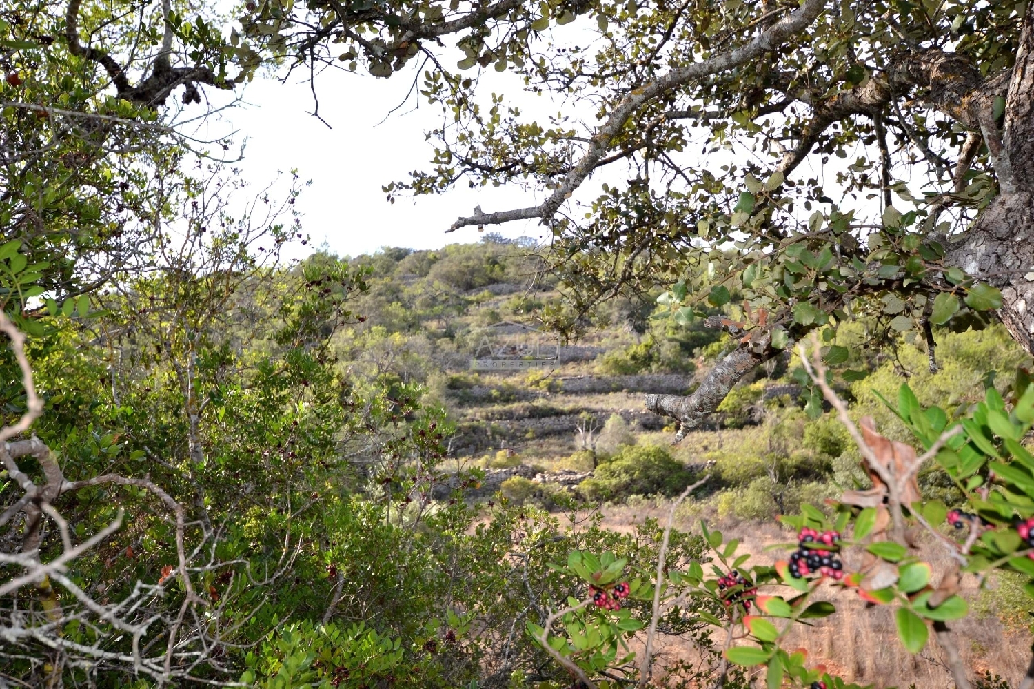  te koop terrein Loulé Loulé 1