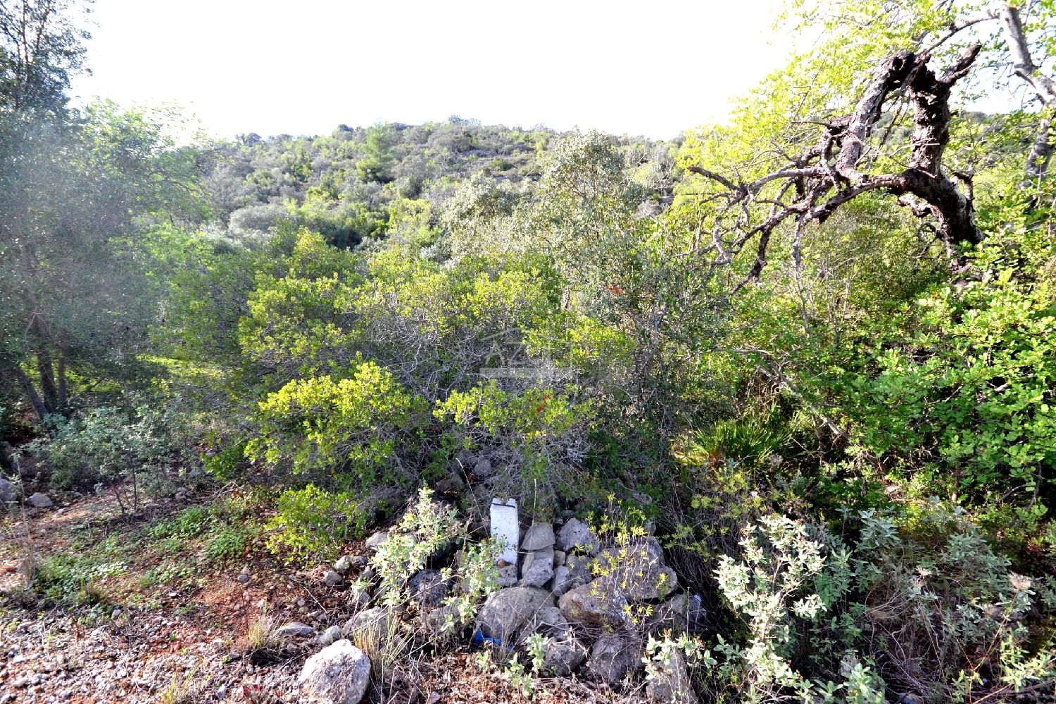  te koop terrein Loulé Loulé 4