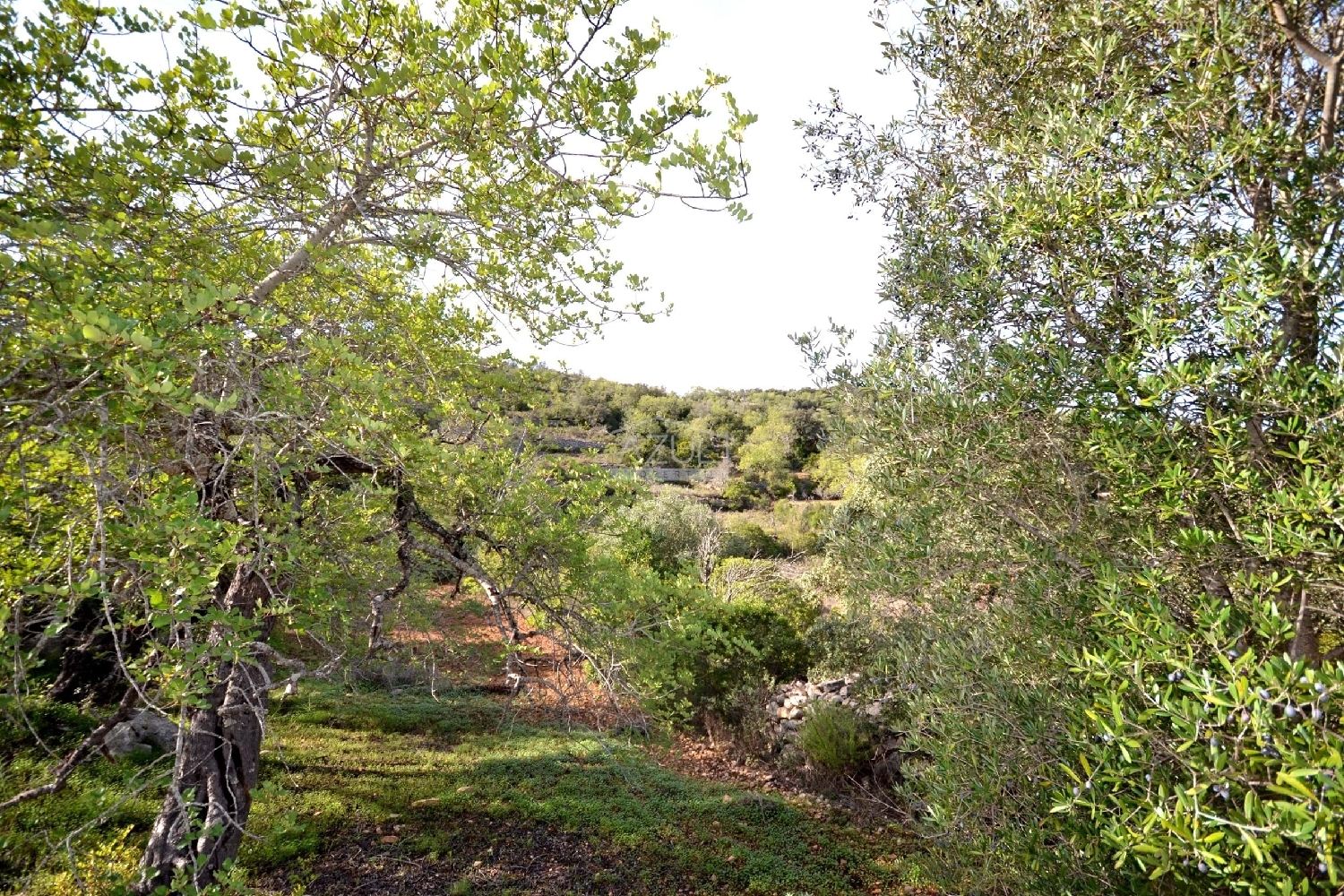  te koop terrein Loulé Loulé 5