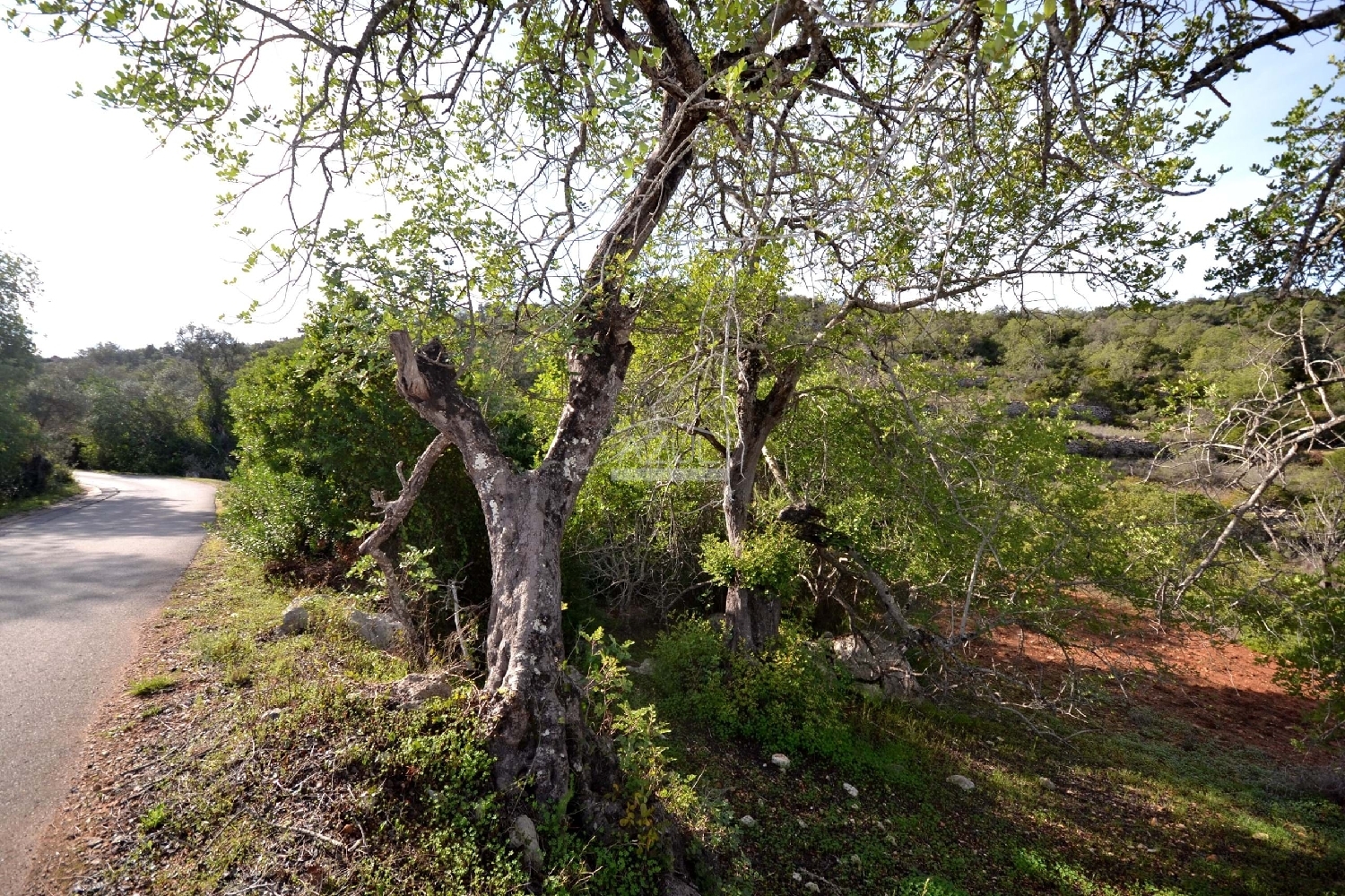  te koop terrein Loulé Loulé 7