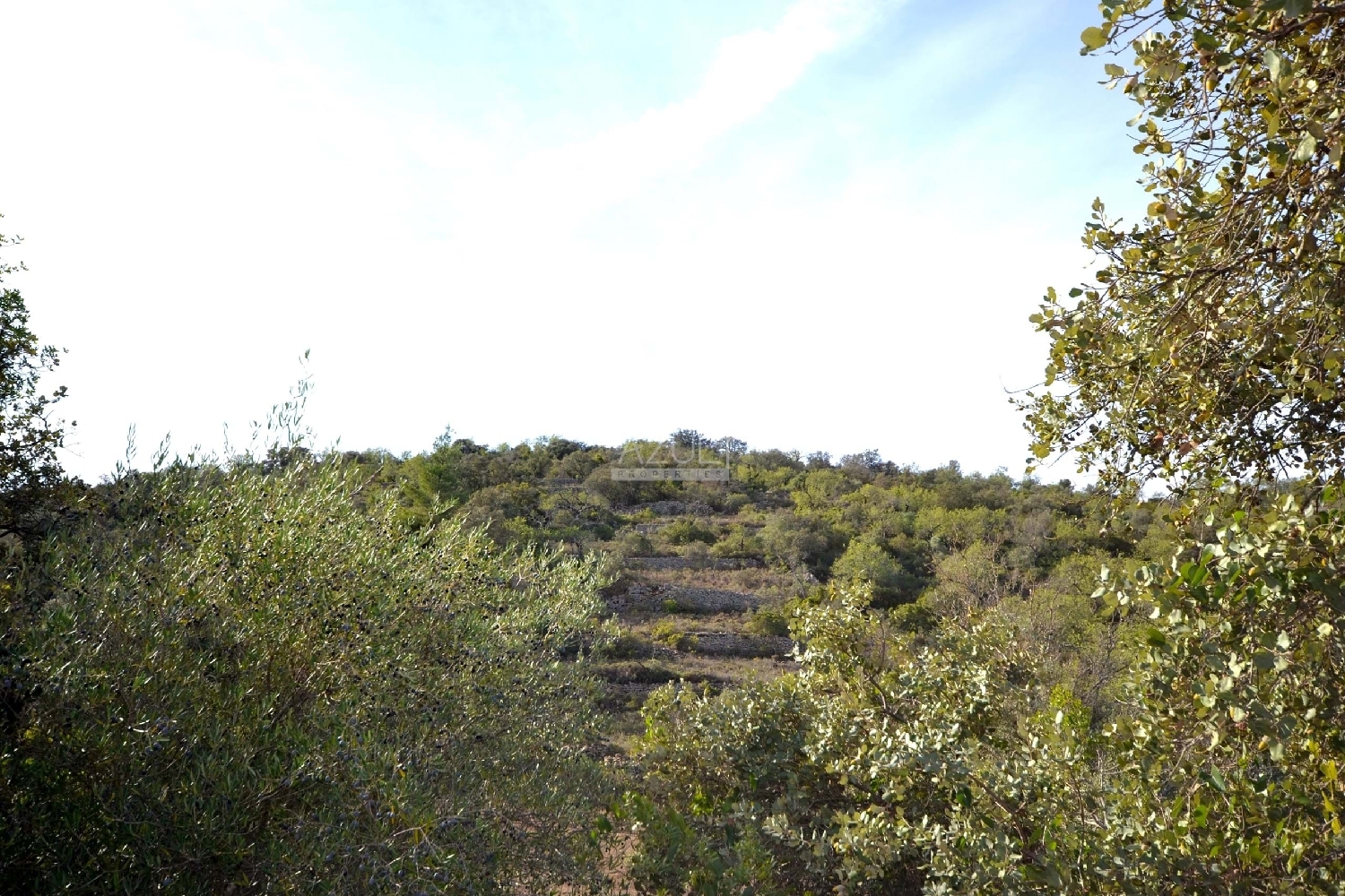  te koop terrein Loulé Loulé 8