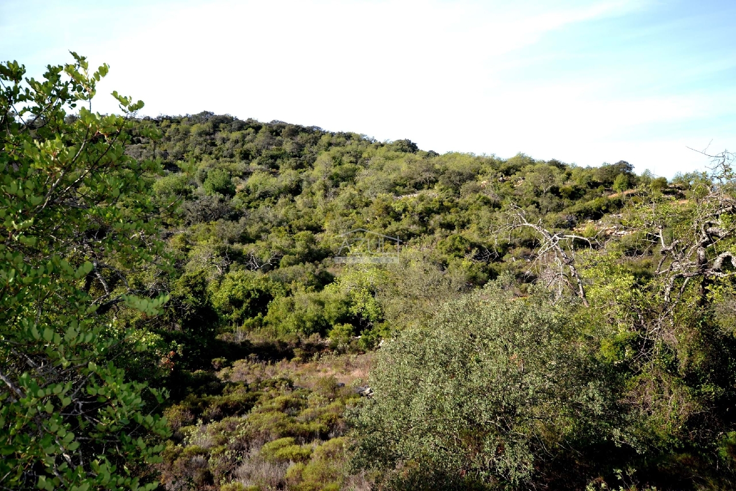  te koop terrein Loulé Loulé 1