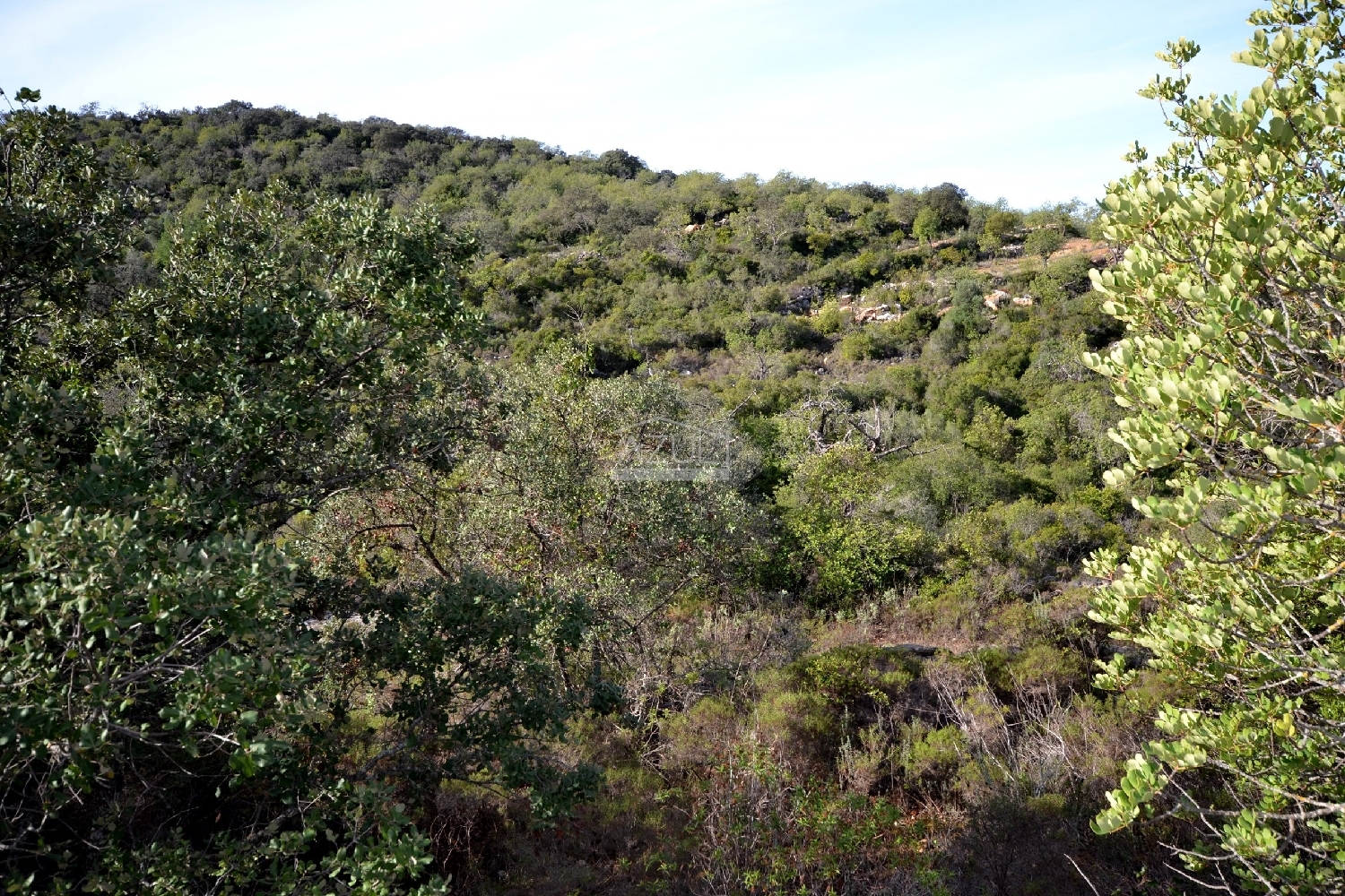 te koop terrein Loulé Loulé 3