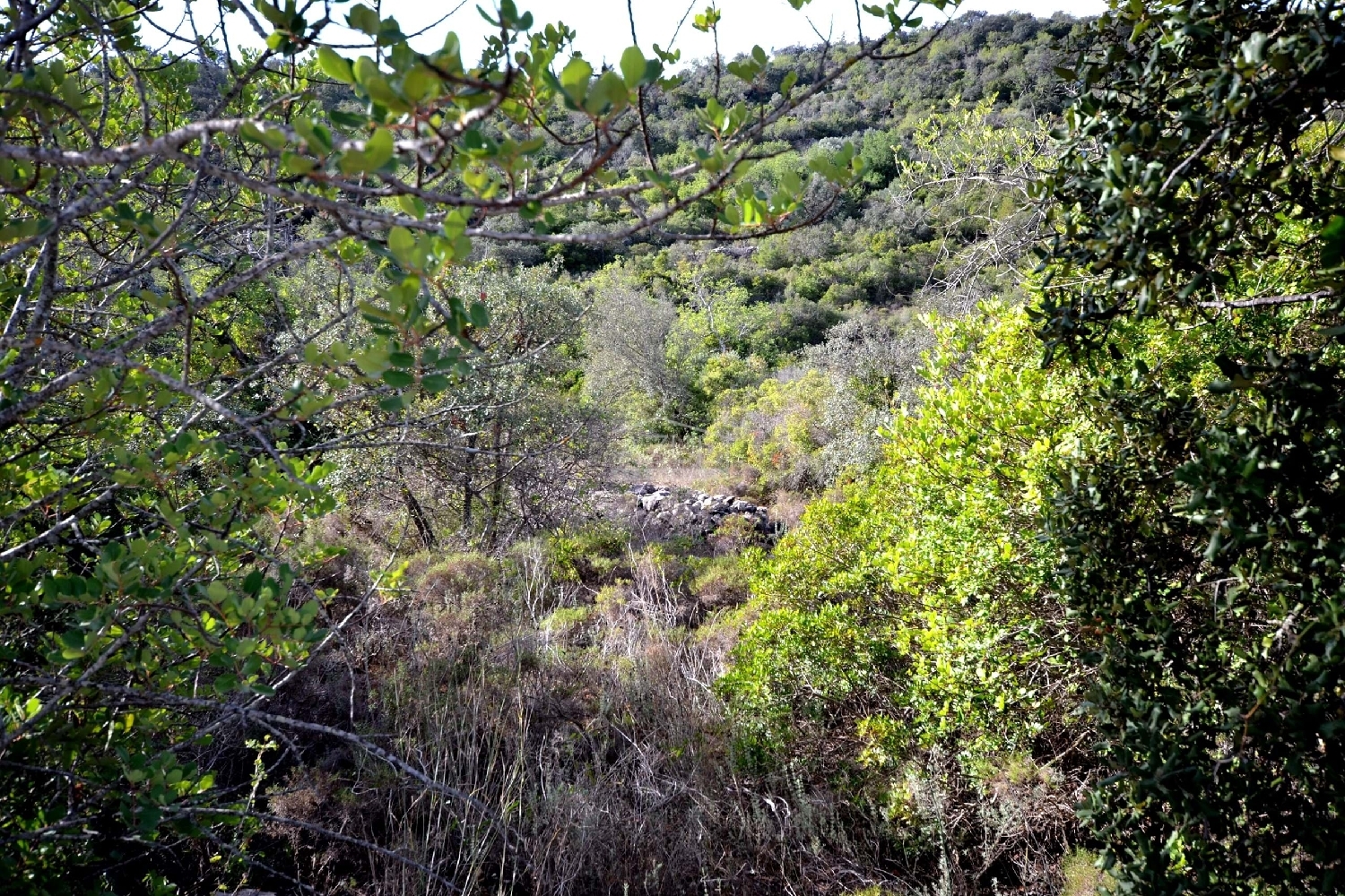  te koop terrein Loulé Loulé 5