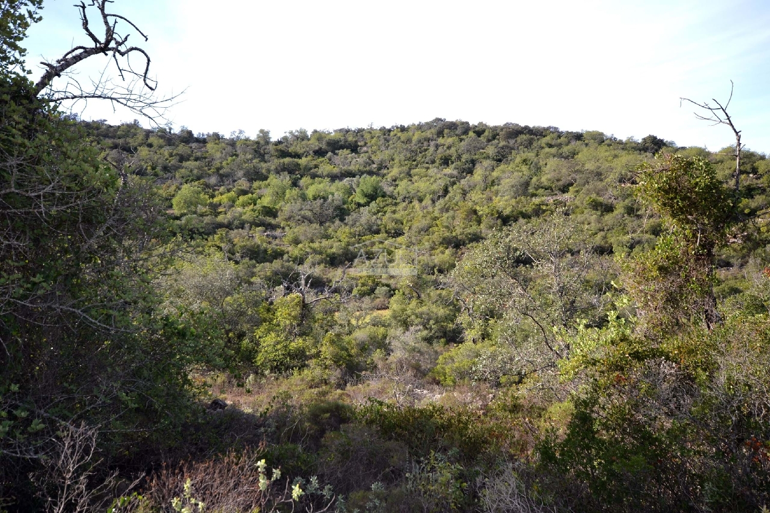  te koop terrein Loulé Loulé 6