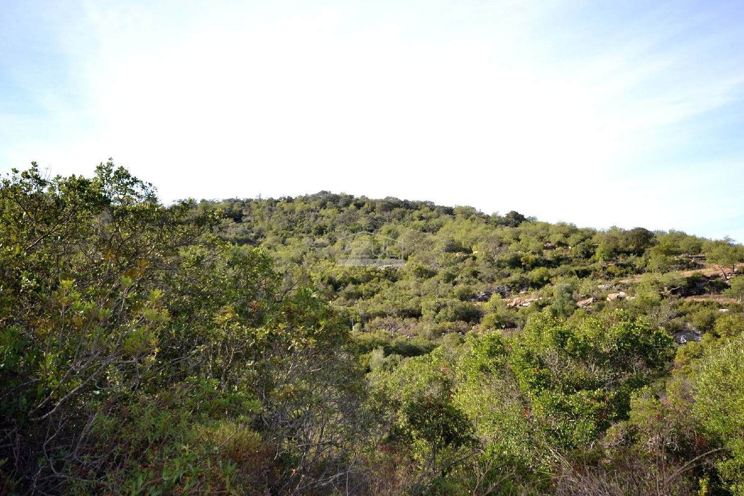  te koop terrein Loulé Loulé 7