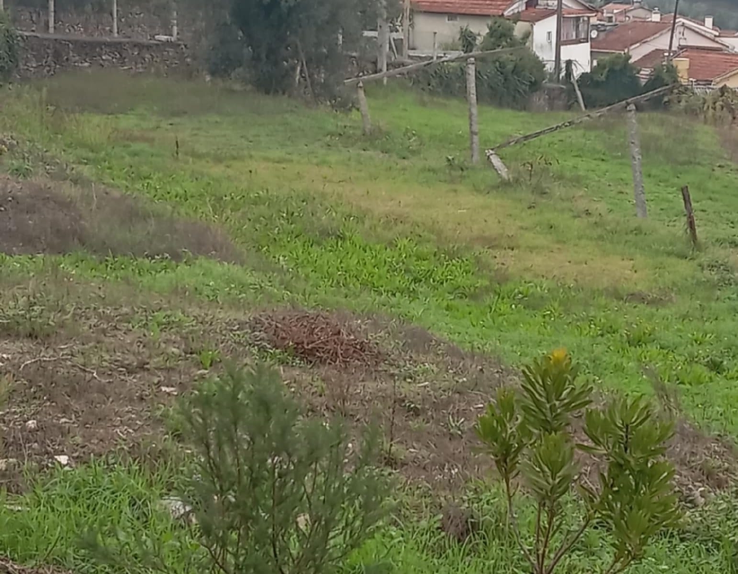  en venta terreno Recarei Paredes 4