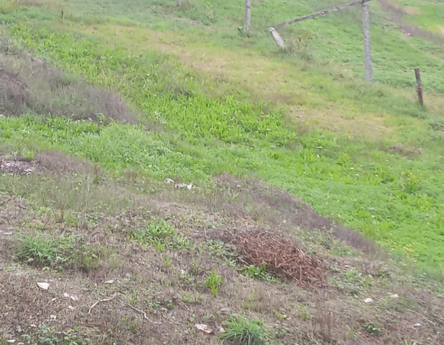  en venta terreno Recarei Paredes 5