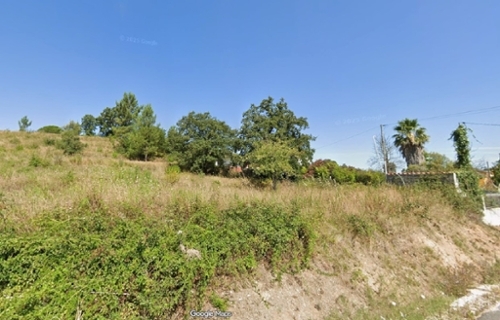 Salvador Chamusca Grundstück Bild 342395