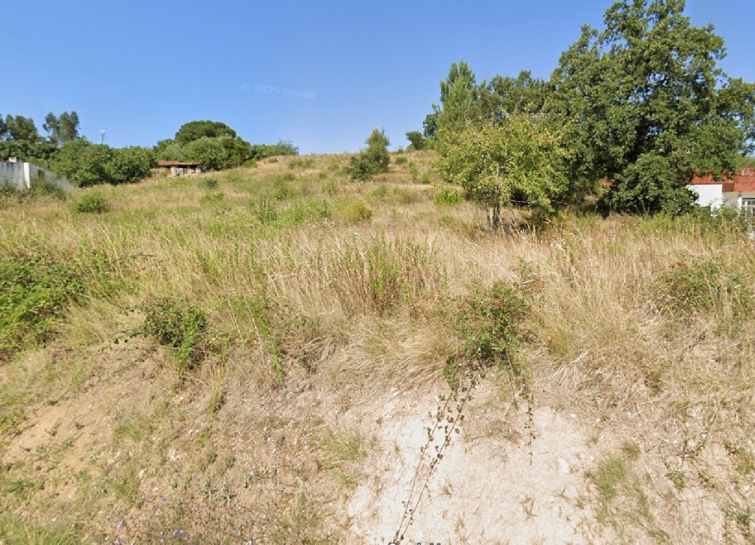 kaufen Grundstück Salvador Chamusca 3