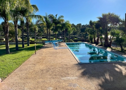 Albufeira Albufeira vila foto 342734