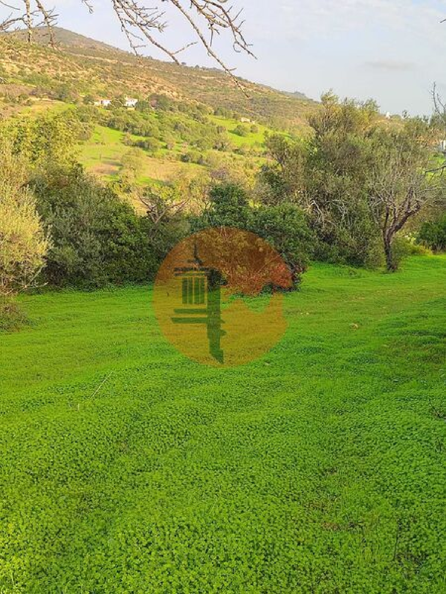 en venta villa Estoi Faro 2