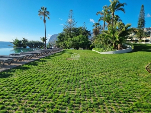 Funchal Funchal apartment foto 343569