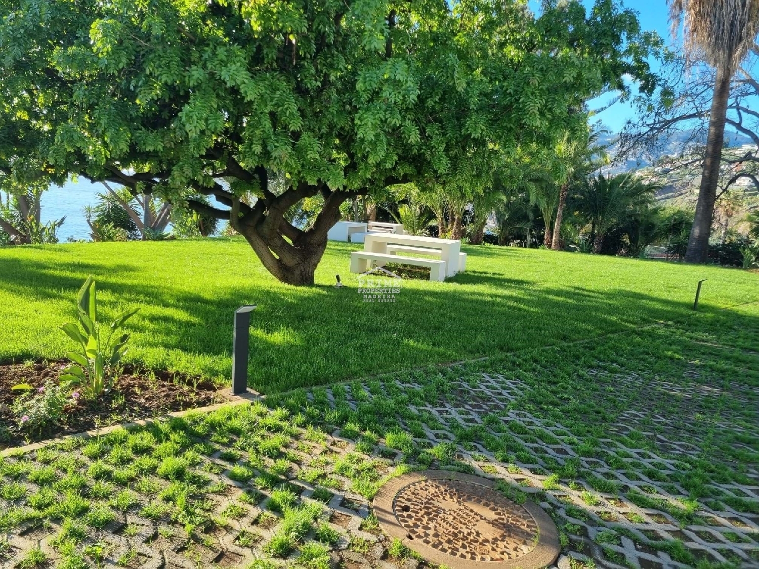  for sale apartment Funchal Funchal 8