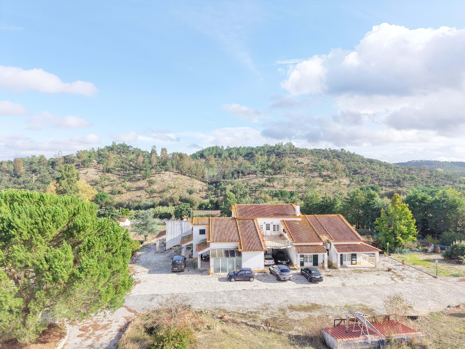  for sale farm Abrantes Abrantes 1