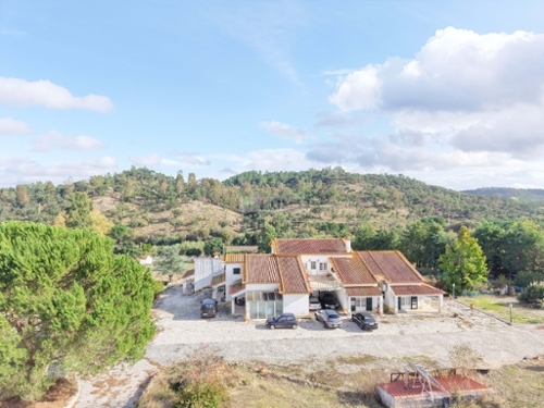 Abrantes Abrantes farm foto 342889