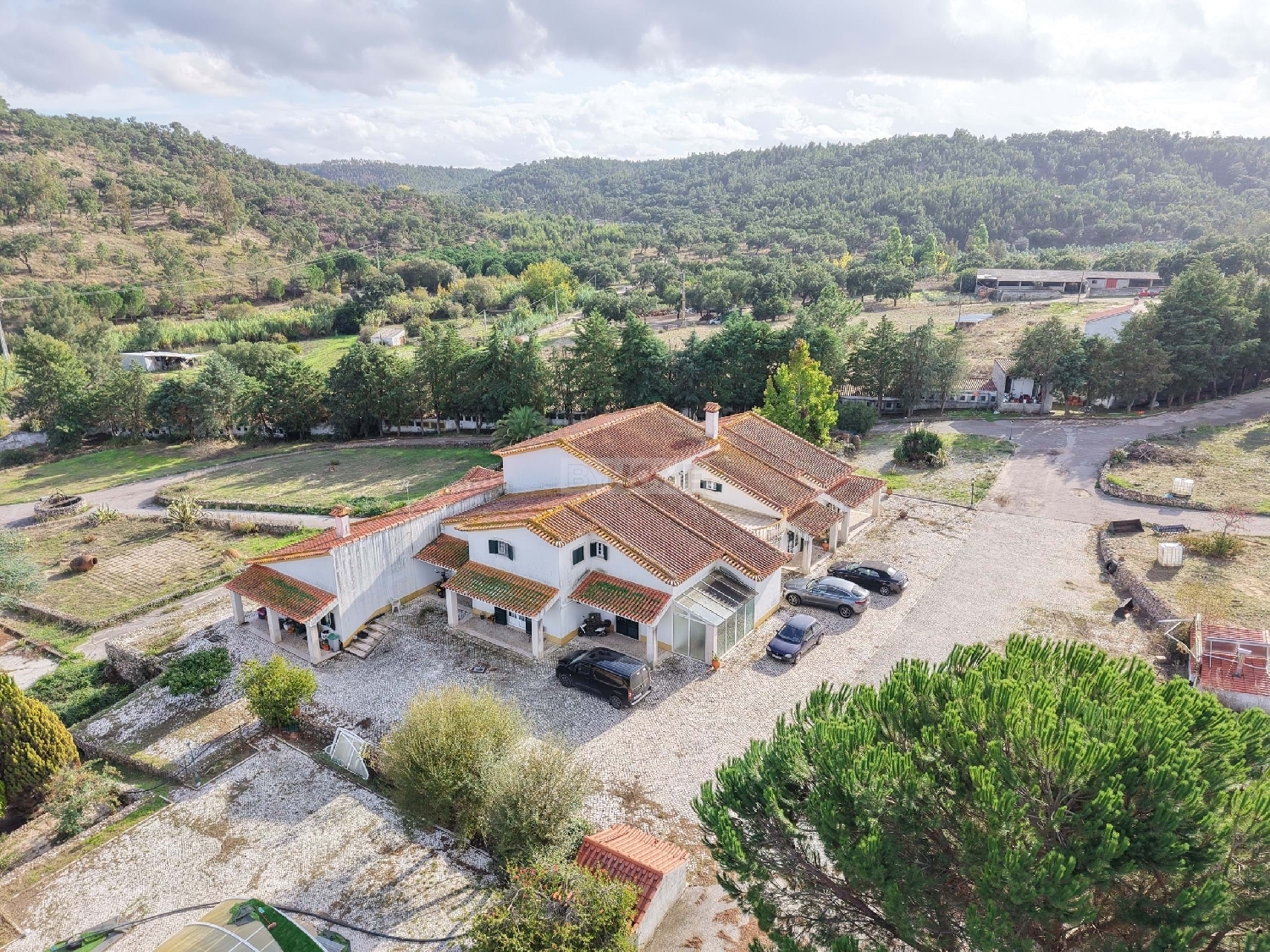  for sale farm Abrantes Abrantes 2