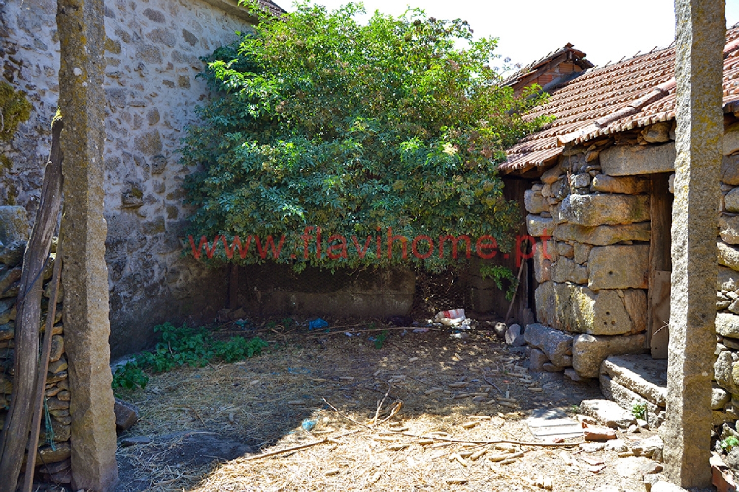 kaufen Haus Chaves Chaves 1