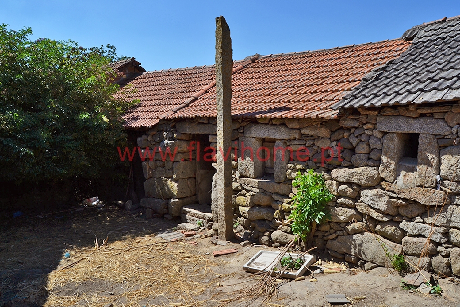 kaufen Haus Chaves Chaves 5