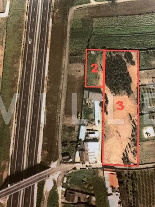 Estarreja Estarreja huis foto 342796