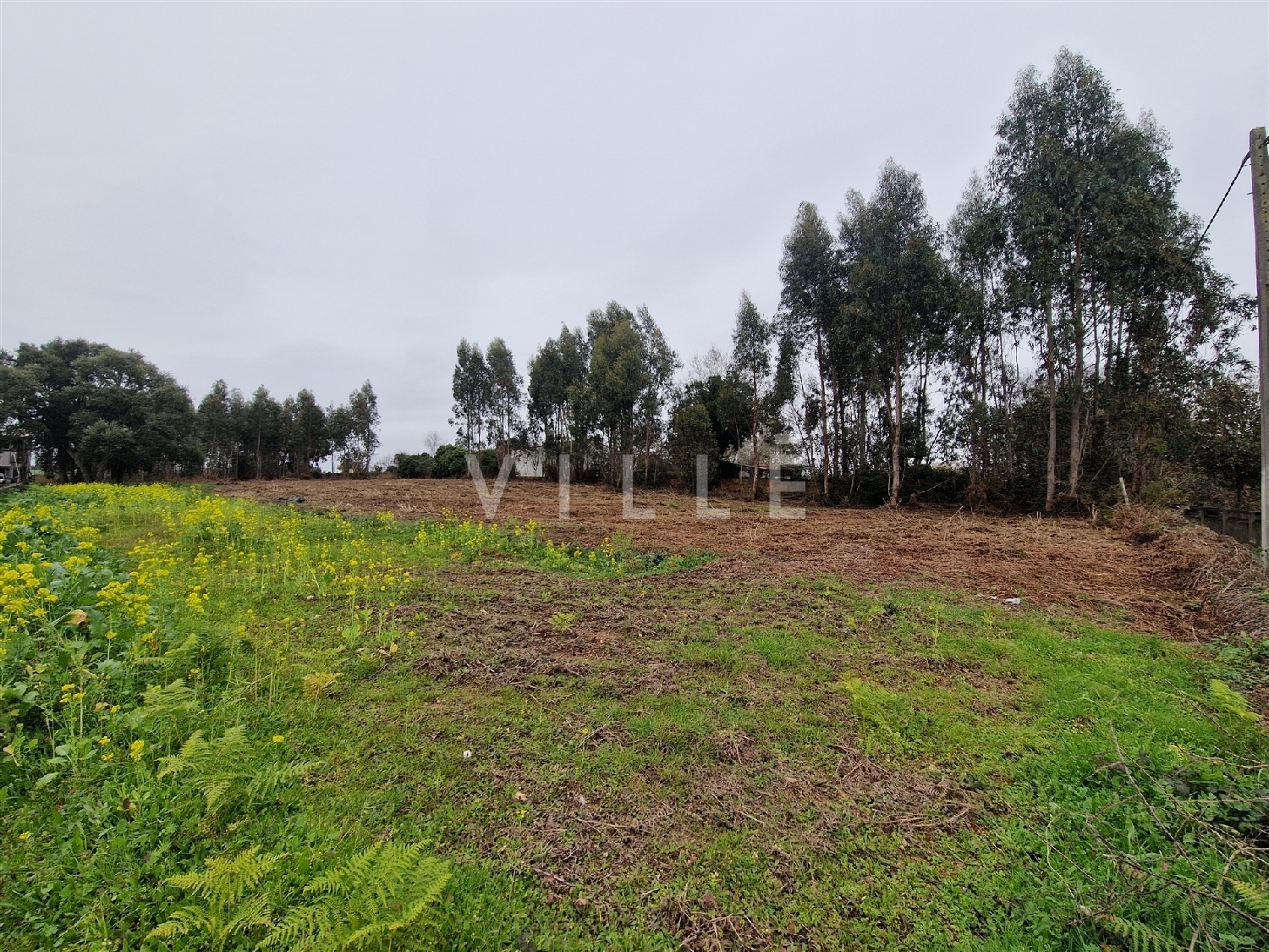  te koop huis Estarreja Estarreja 5