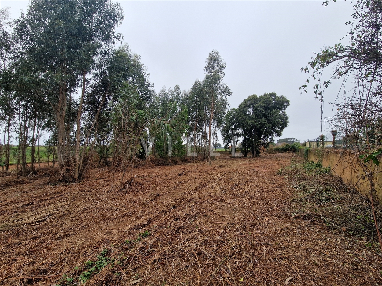  te koop huis Estarreja Estarreja 6