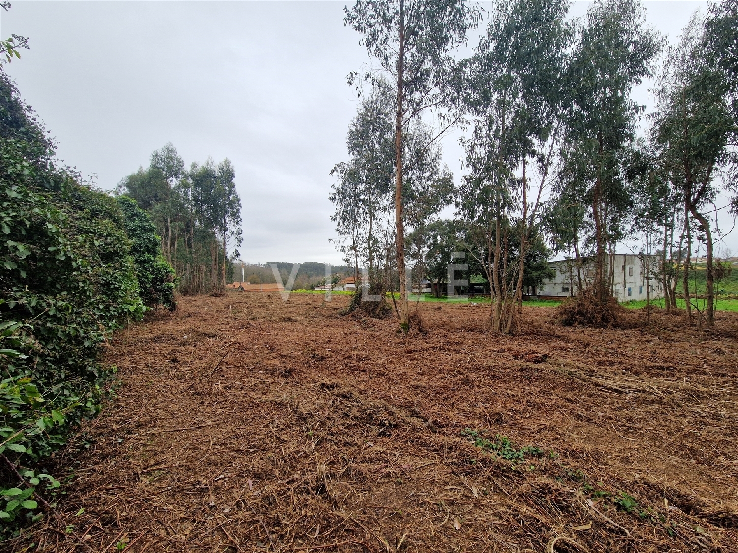  te koop huis Estarreja Estarreja 7