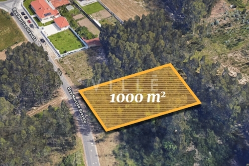 Vagos Vagos 屋 foto 343362