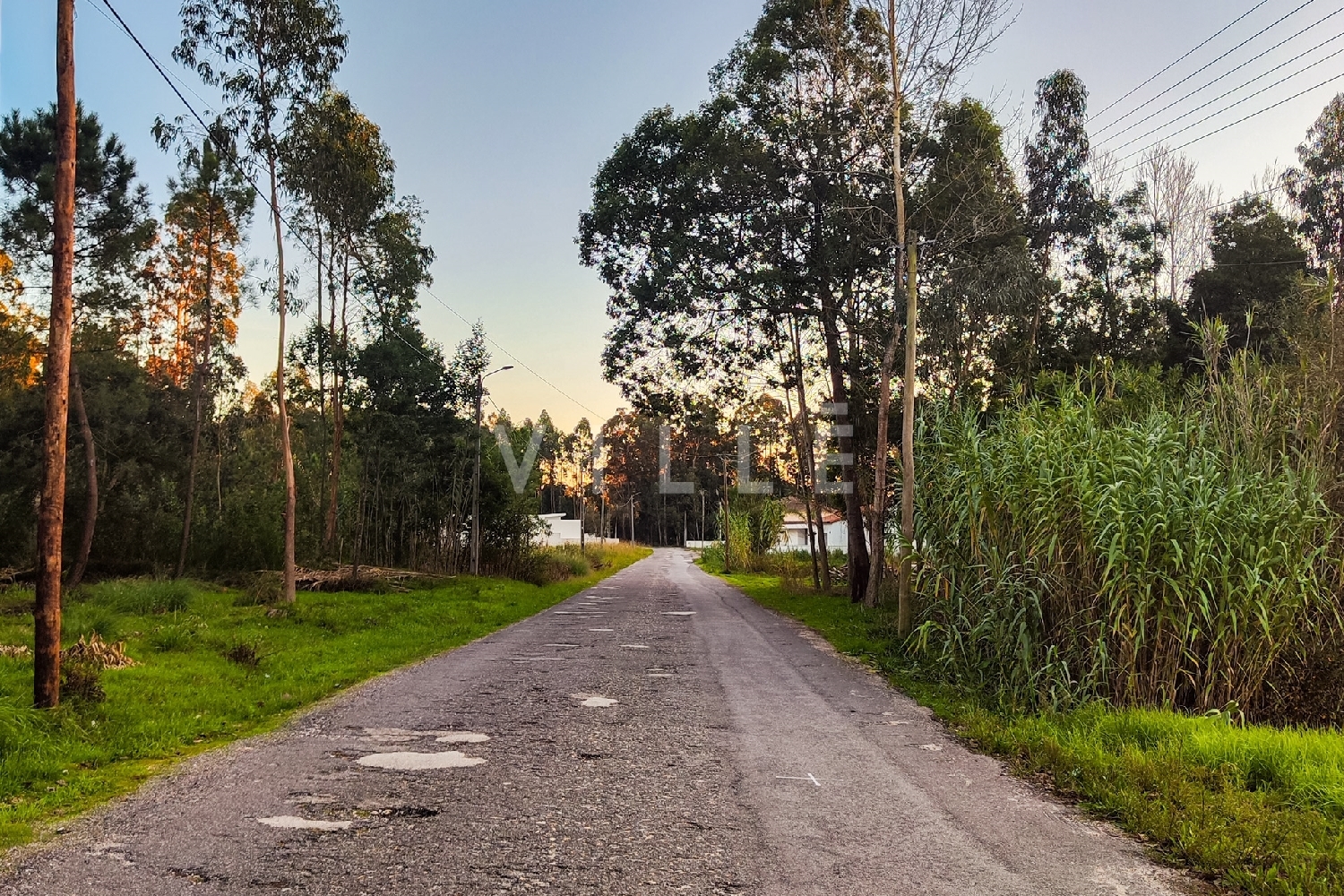 à vendre maison Vagos Vagos 8