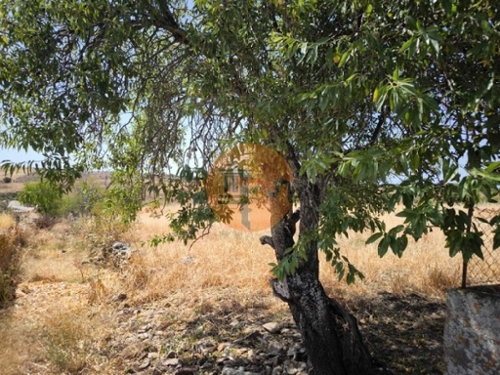 Alcoutim Alcoutim tomt foto 342911