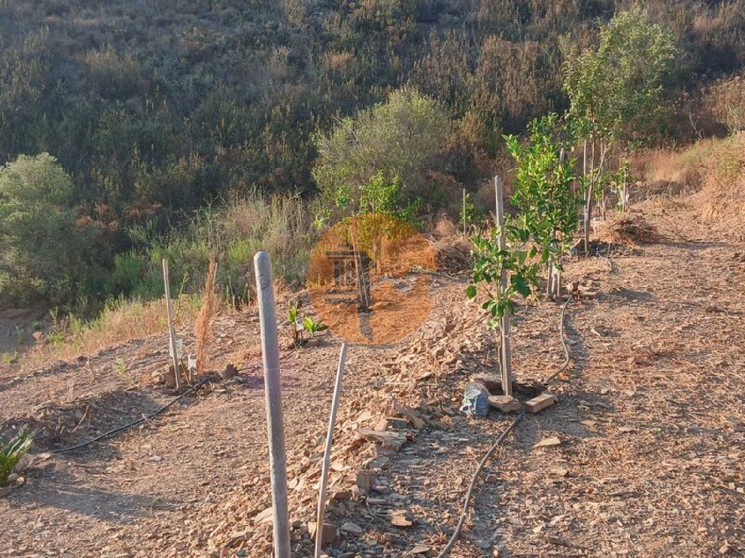  köpa tomt Azinhal Albufeira 3