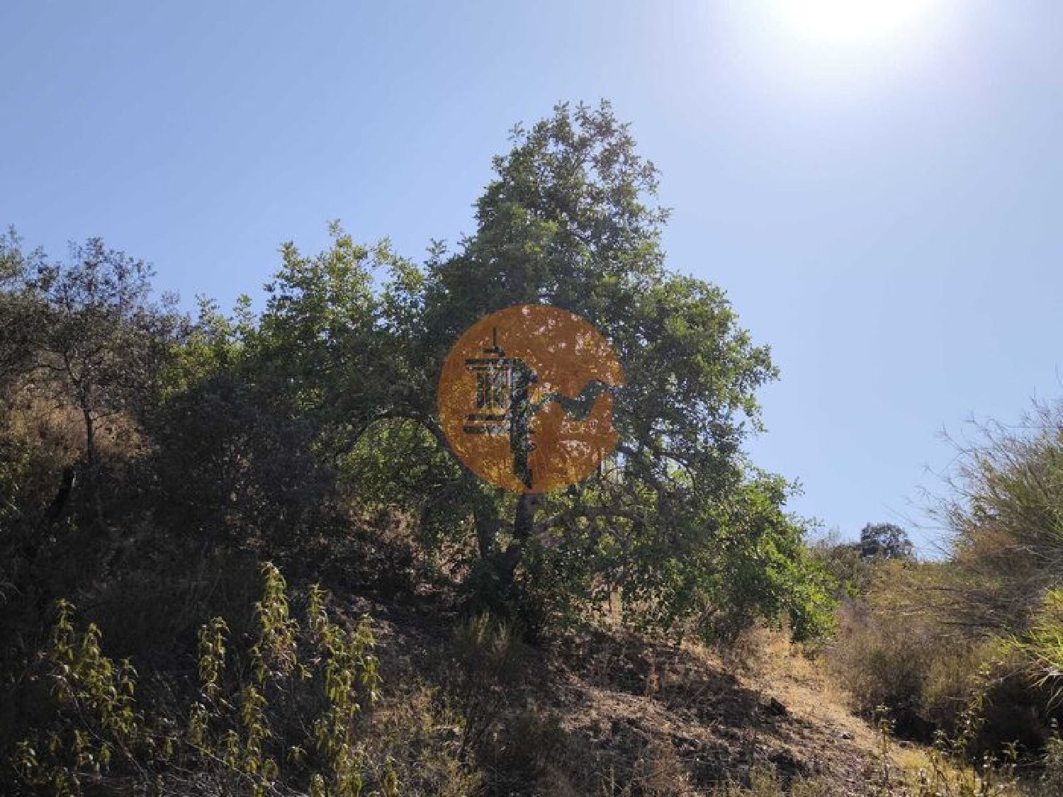  köpa tomt Azinhal Albufeira 4