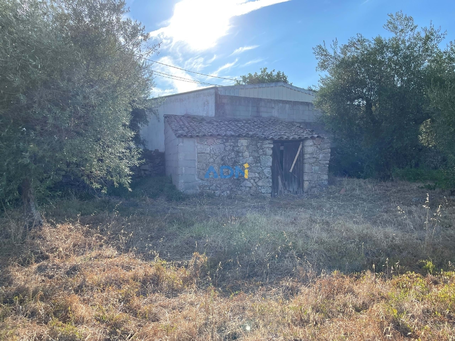  te koop terrein Castelo Branco Castelo Branco 1