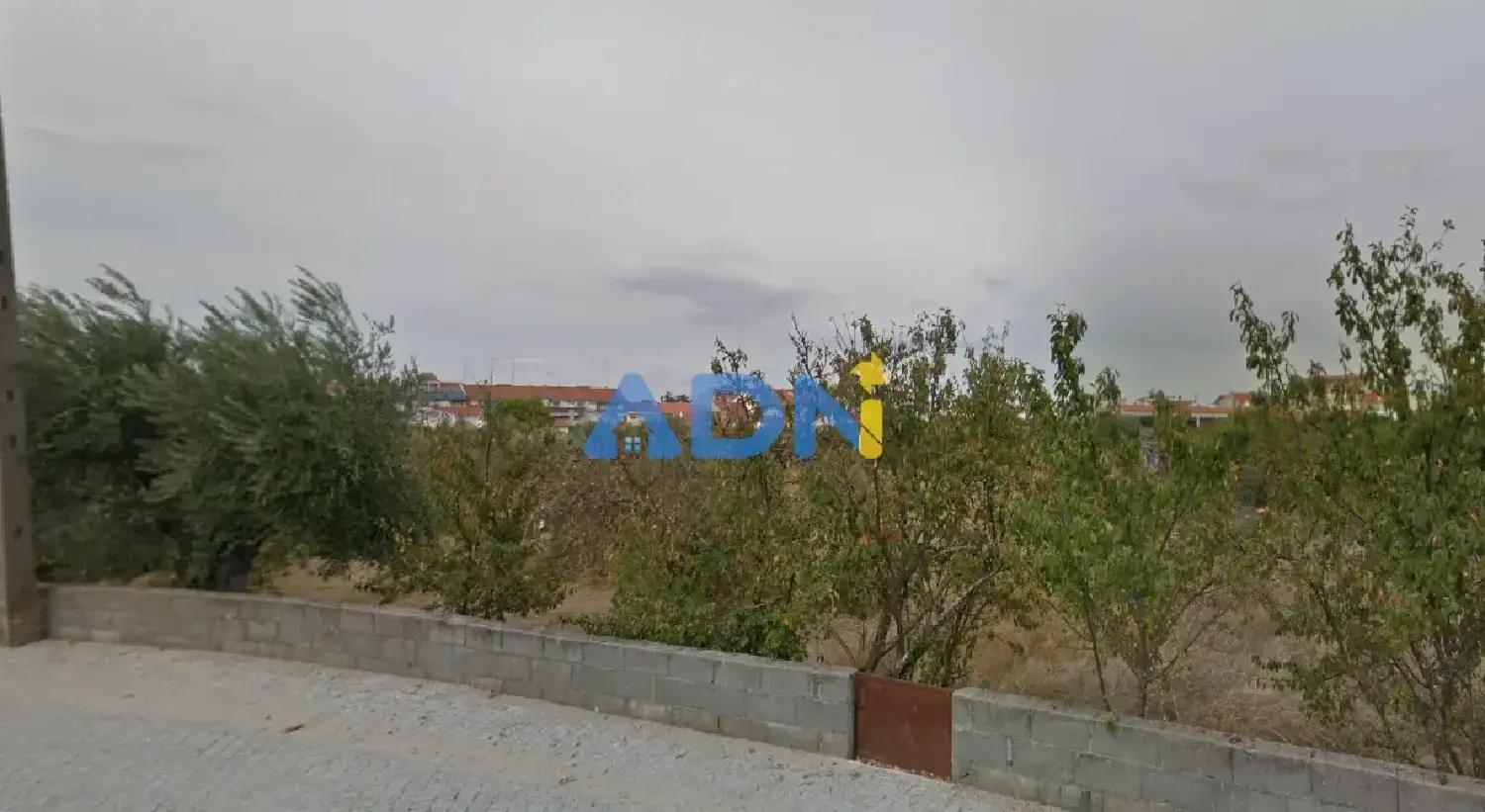 te koop terrein Castelo Branco Castelo Branco 3