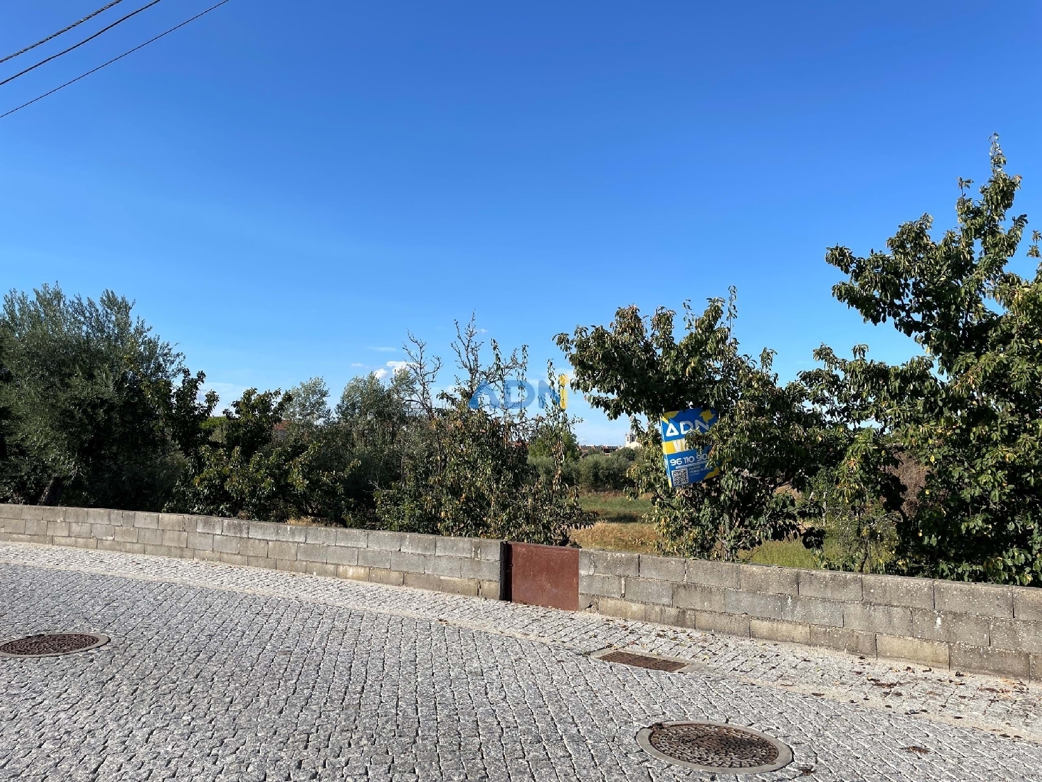  te koop terrein Castelo Branco Castelo Branco 5