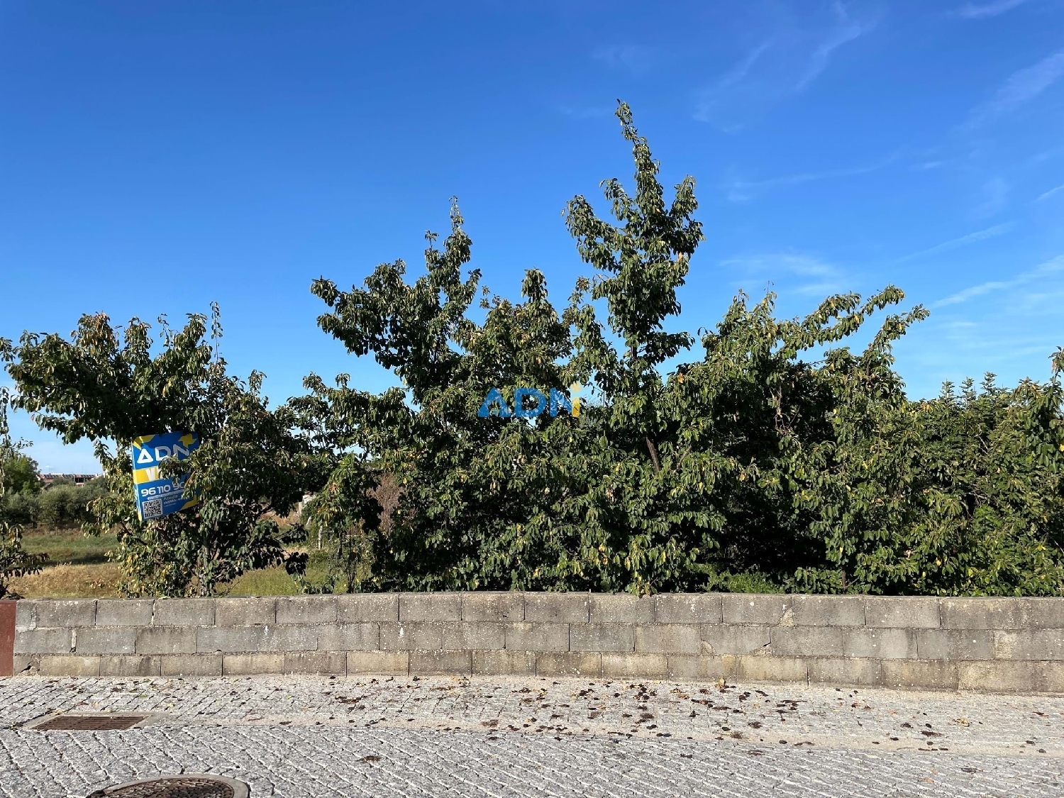  te koop terrein Castelo Branco Castelo Branco 7