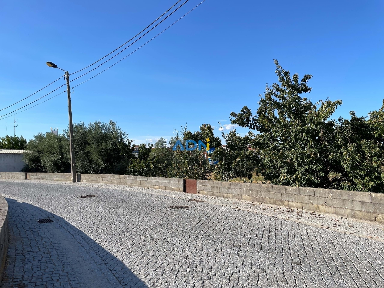  te koop terrein Castelo Branco Castelo Branco 8