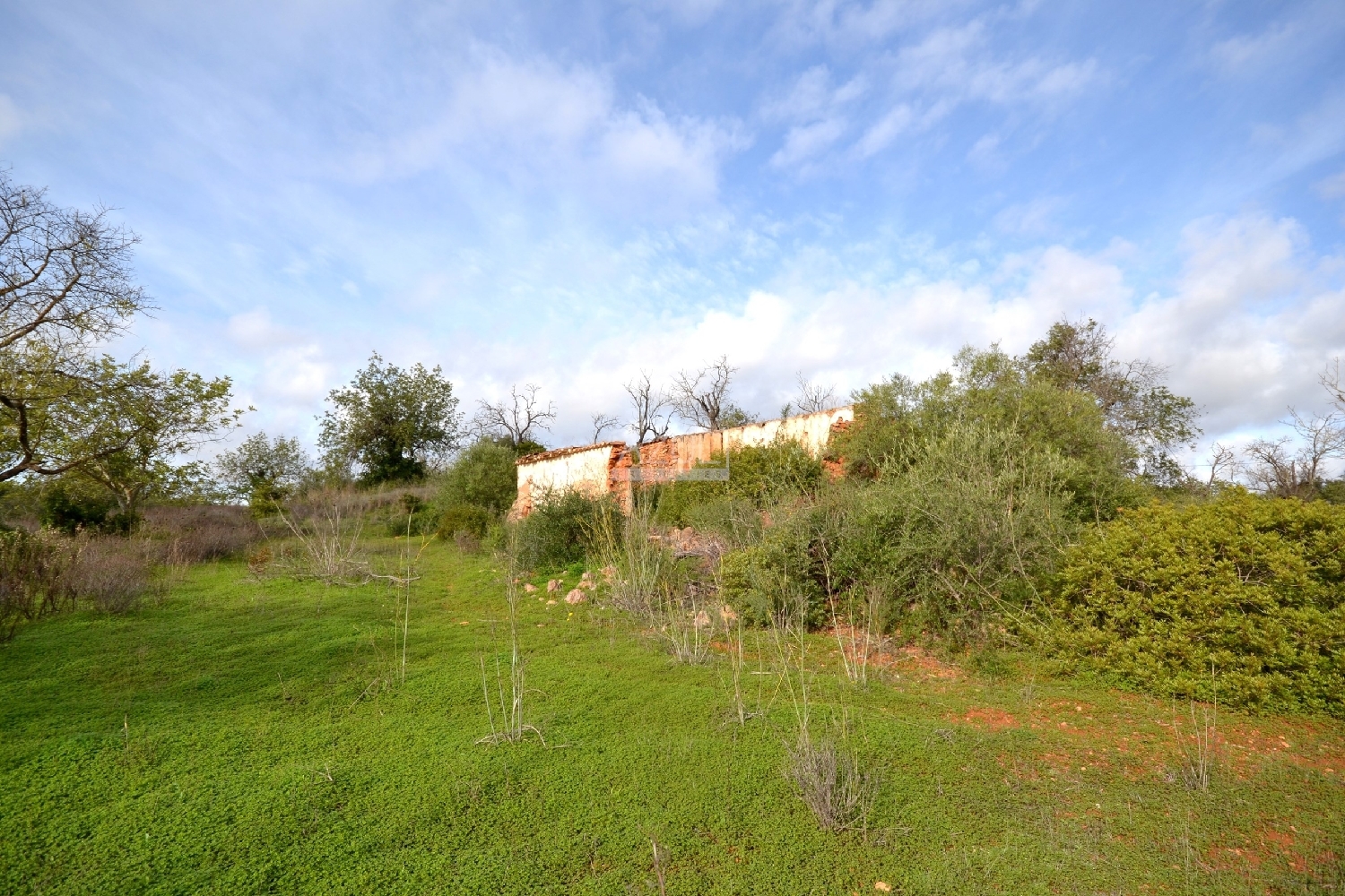  出售 土地 Loulé Loulé 1