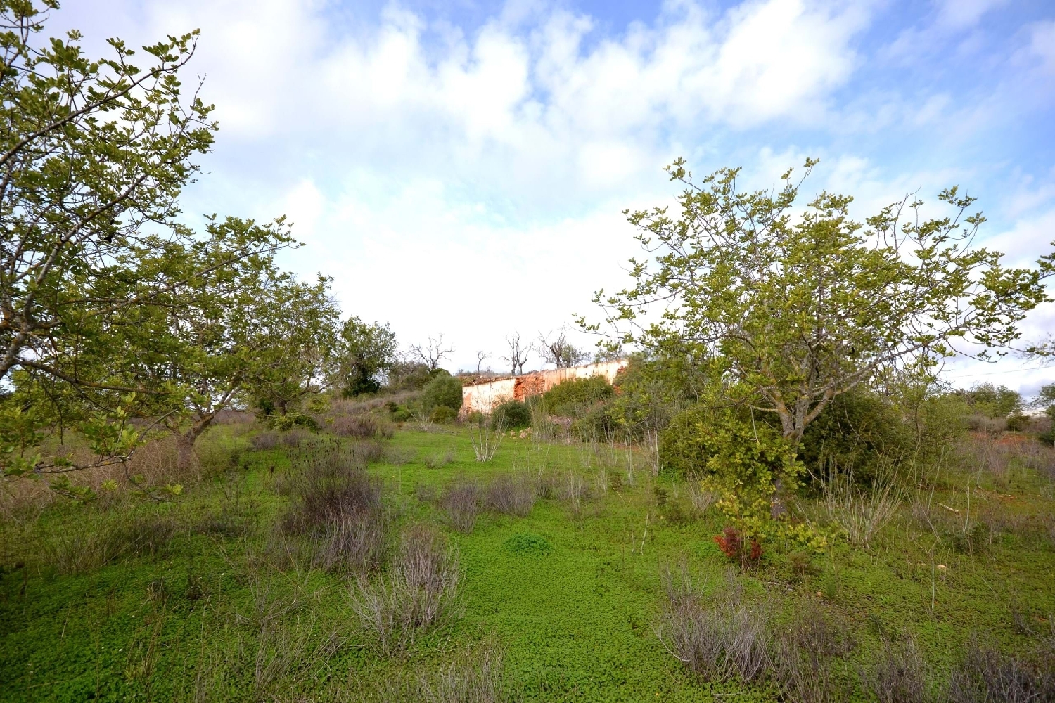  出售 土地 Loulé Loulé 2