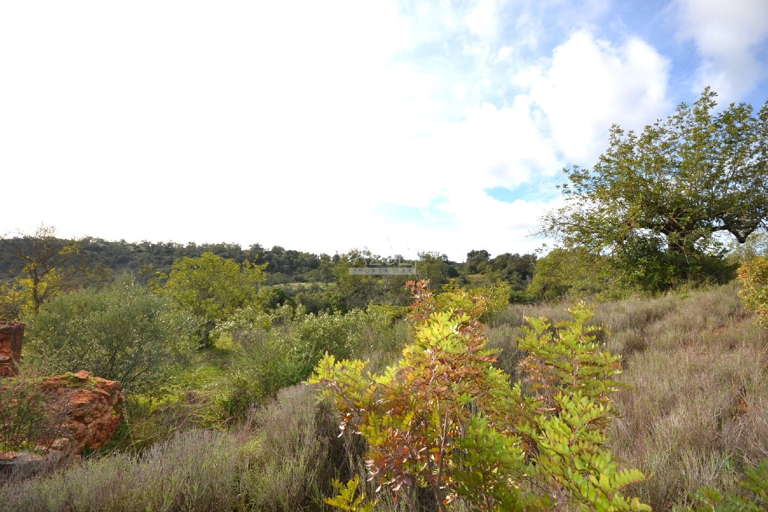  出售 土地 Loulé Loulé 6