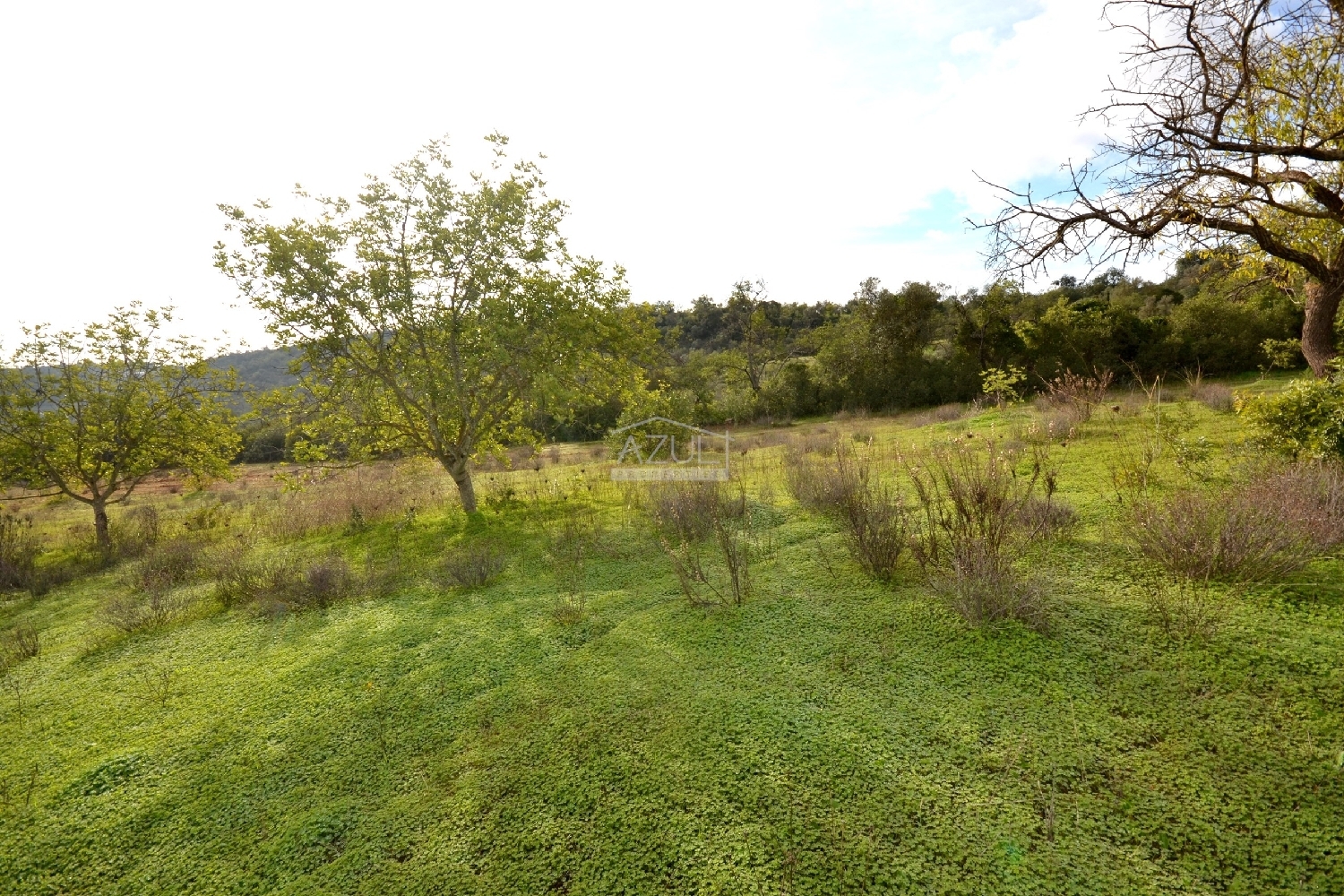  出售 土地 Loulé Loulé 7