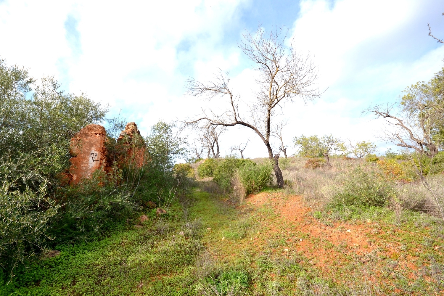  出售 土地 Loulé Loulé 8