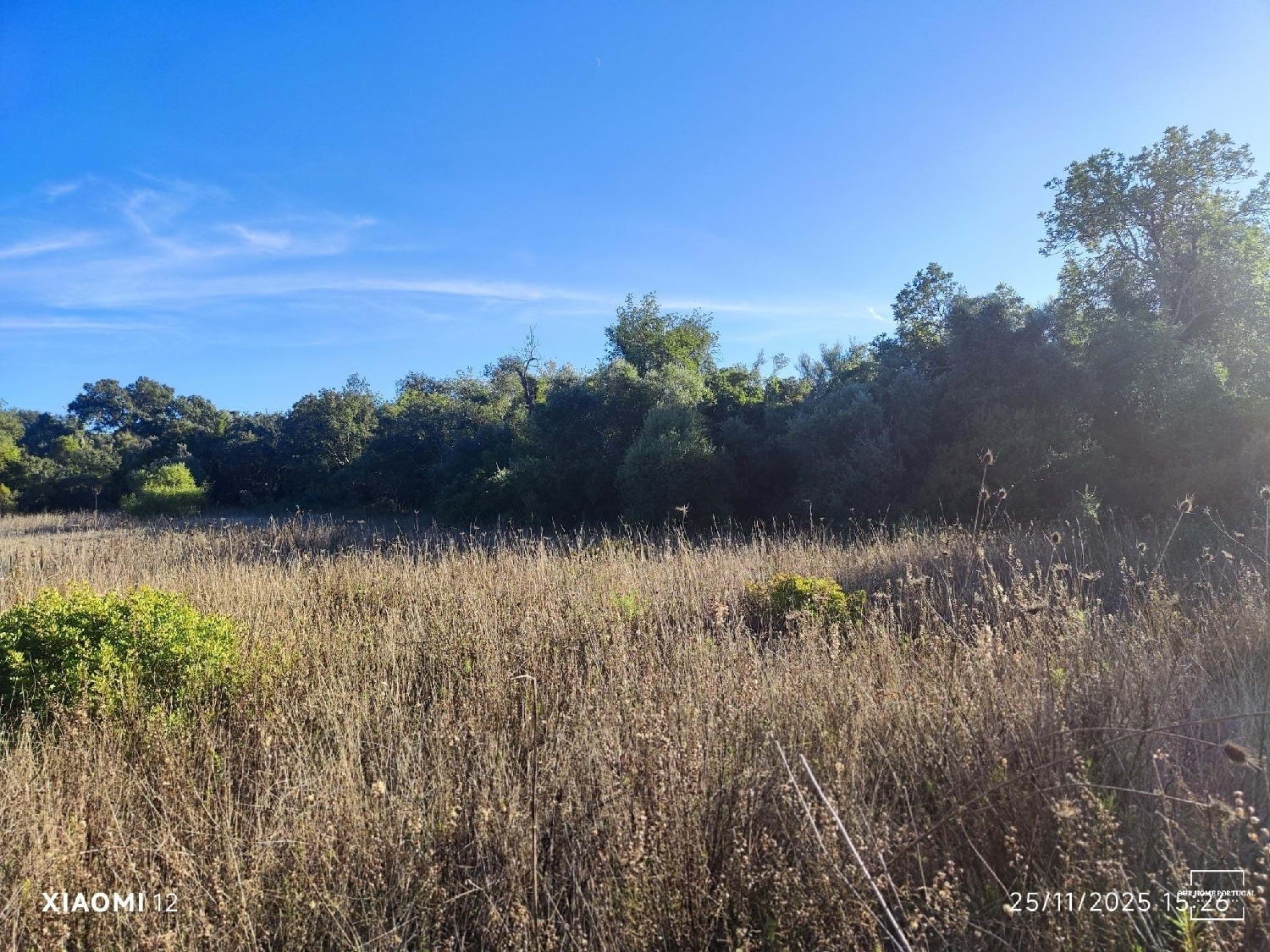  出售 土地 Loulé Loulé 3