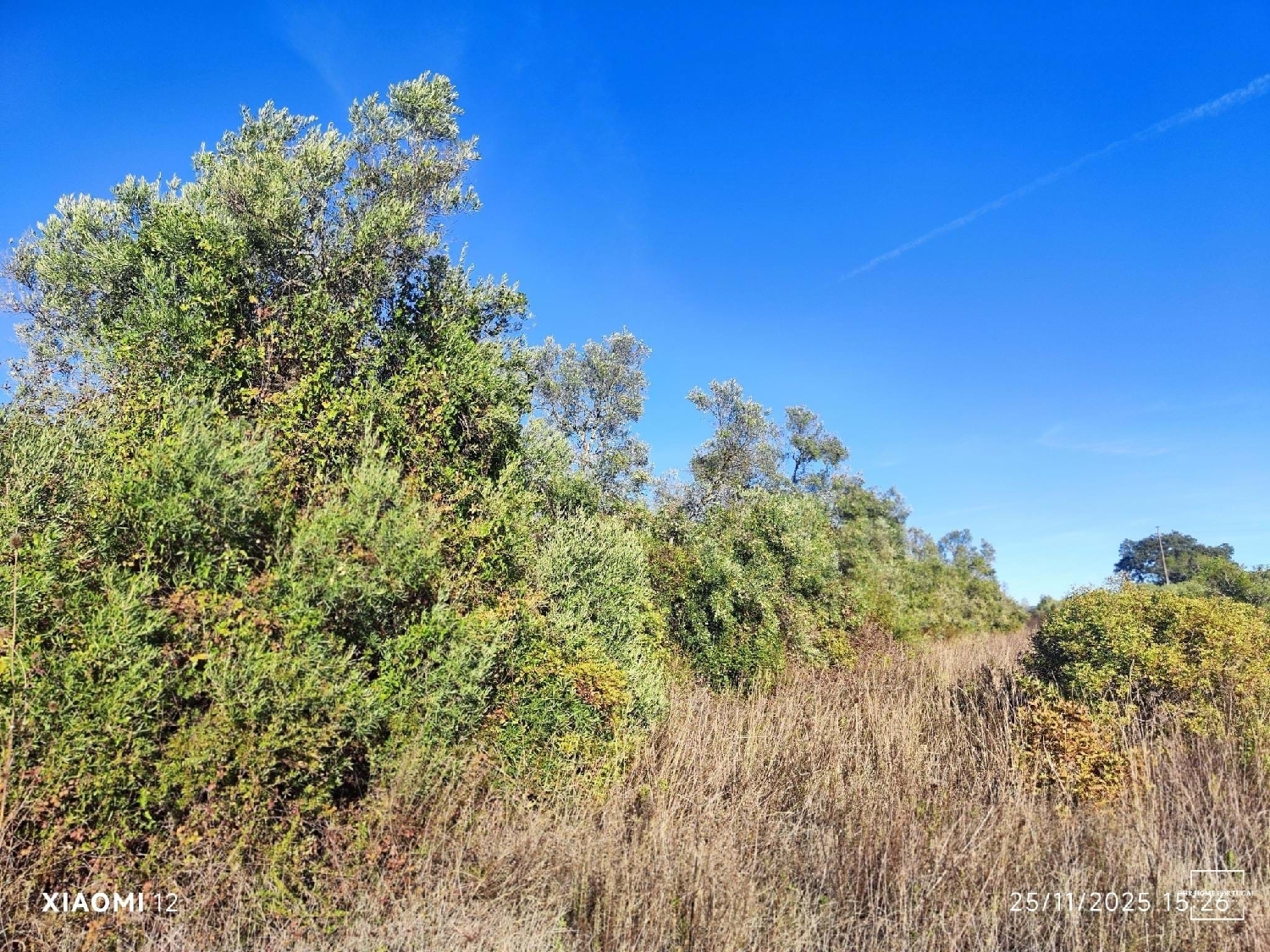  出售 土地 Loulé Loulé 4