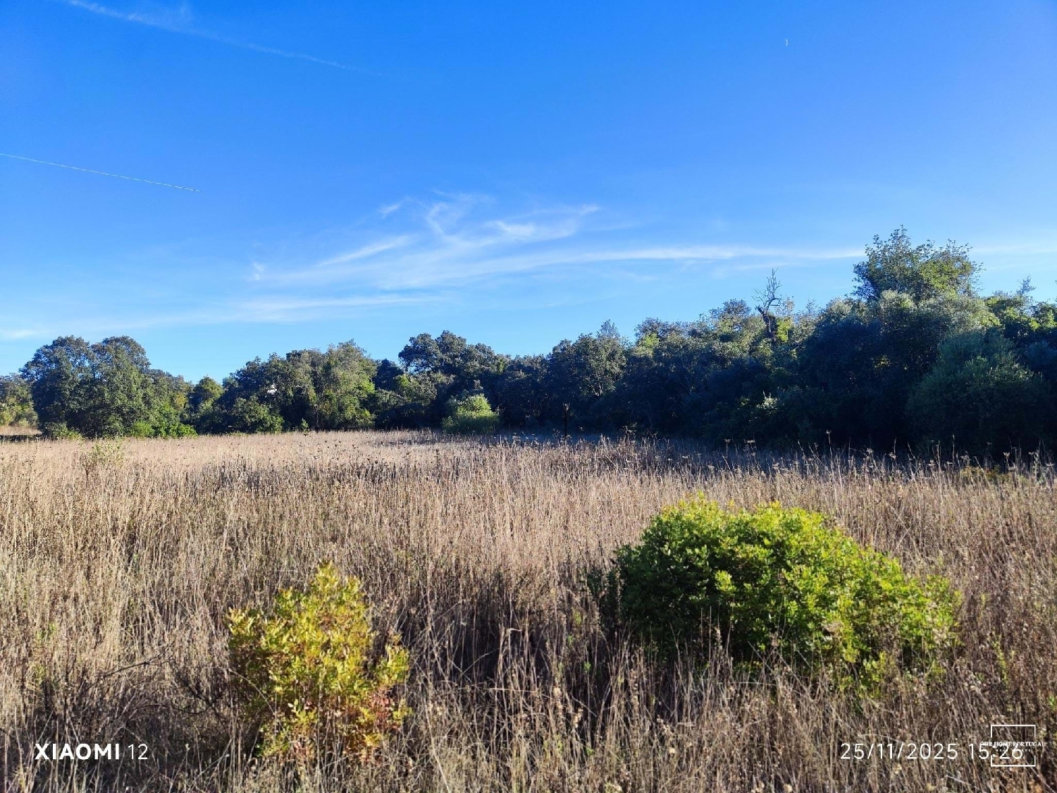  出售 土地 Loulé Loulé 5