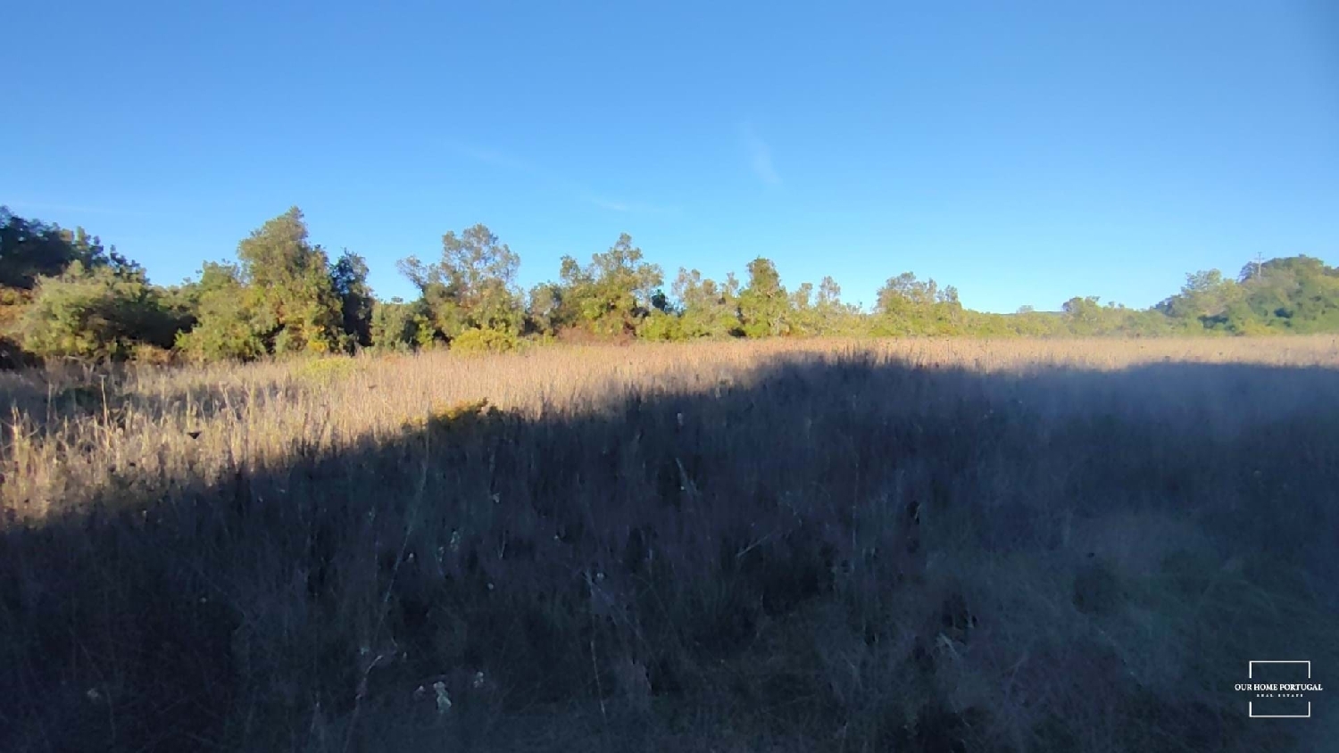  出售 土地 Loulé Loulé 7